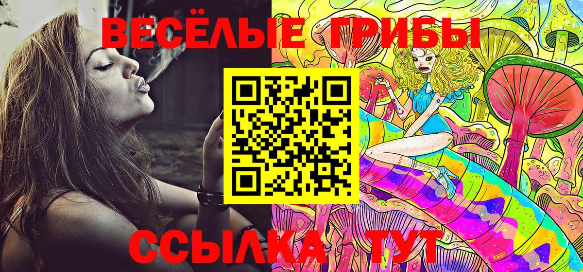 Воскресенск  Галлюциногенные грибы Psilocybe  Вход с VPN 